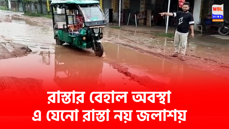 রাস্তার বেহাল দশা । Bad condition of the road